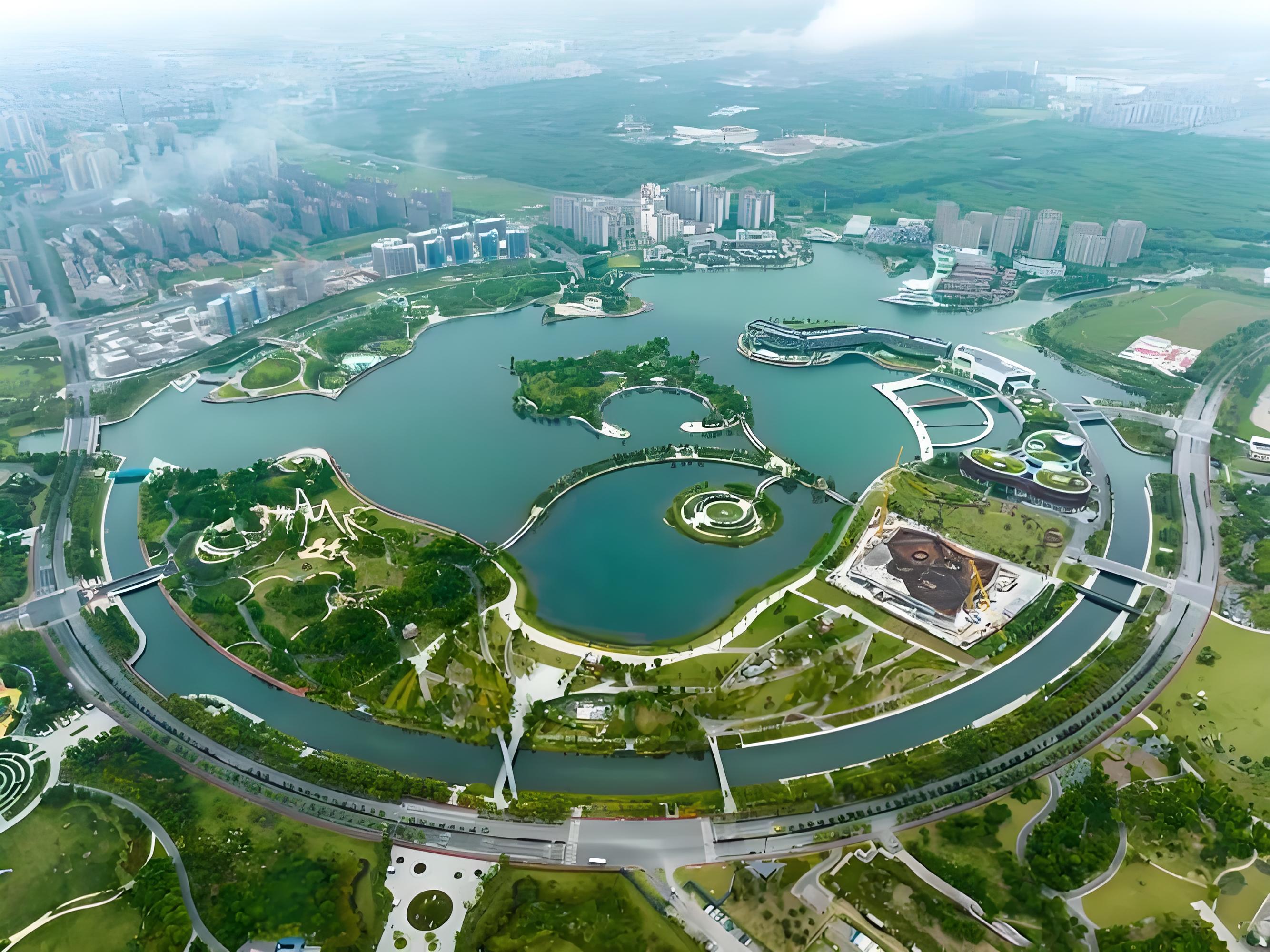 上海之鱼-IMO 2026
